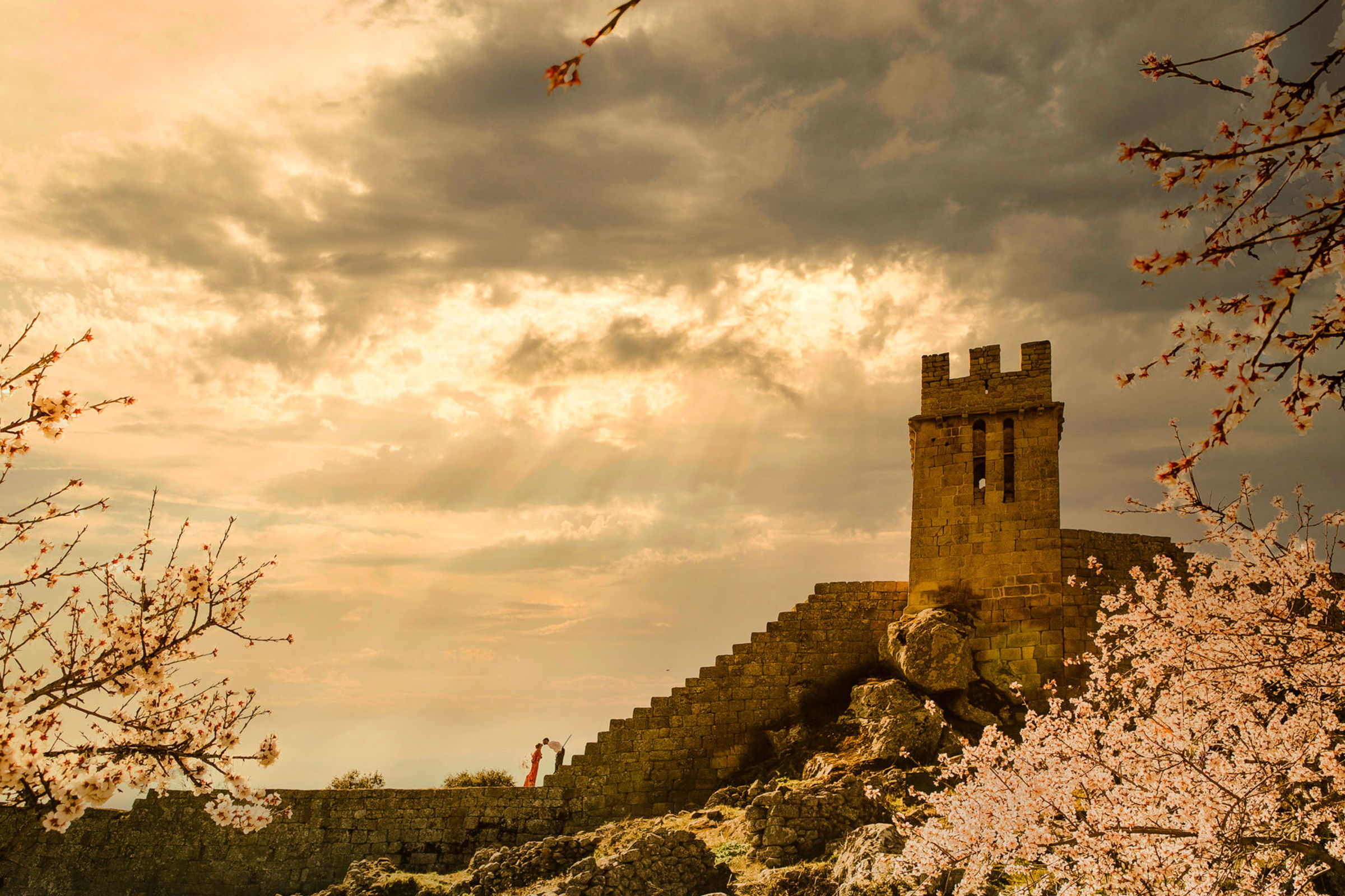 Foto de Paulo Calheiros 9